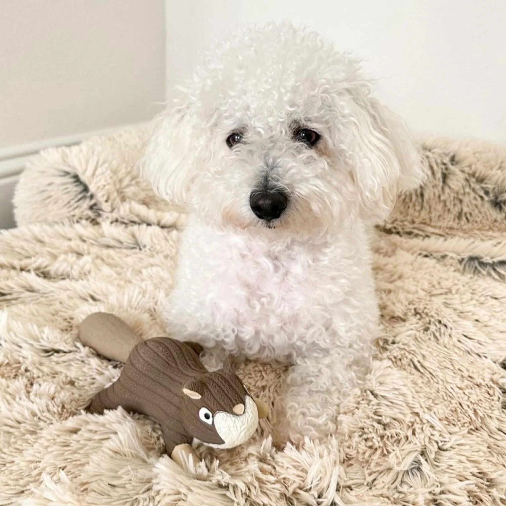 Tall Tails Natural Rubber Squirrel Squeaker Dog Toy – 8 Inch