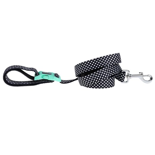 DOOG Pongo Dog Lead – Neoprene Dog Leash for Small Dogs, Small
