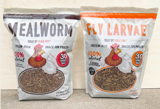 Soldier Fly Larvae 10oz 