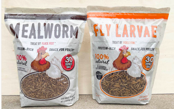 Soldier Fly Larvae 10oz 