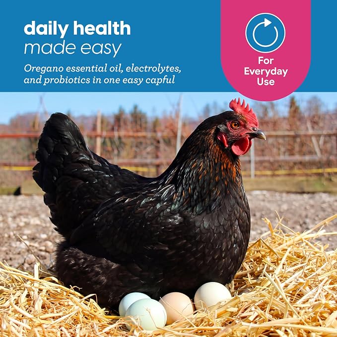 Strong Animals Chicken E-lixir Poultry Supplement – 32 oz Daily Water Additive with Vitamins, Electrolytes & Prebiotics