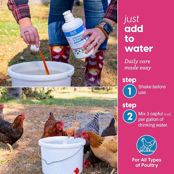 Strong Animals Chicken E-lixir Poultry Supplement – 32 oz Daily Water Additive with Vitamins, Electrolytes & Prebiotics