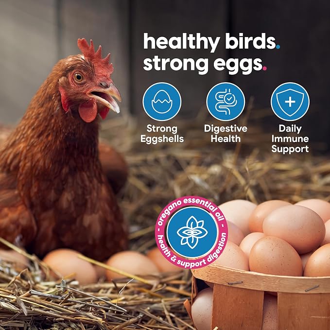 Strong Animals Chicken E-lixir Poultry Supplement – 32 oz Daily Water Additive with Vitamins, Electrolytes & Prebiotics