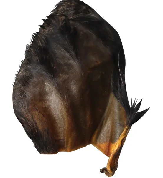 QT Dog Water Buffalo Ear with Hair — image 1