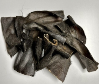 QT Dog Water Buffalo Ear with Hair — image 2