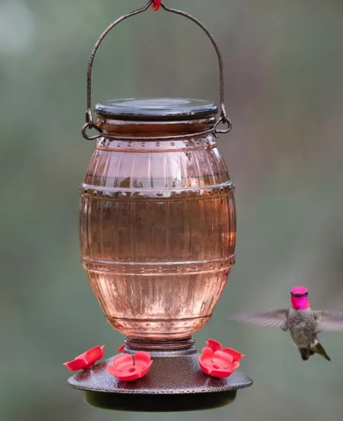 Perky-Pet® Prohibition Top-Fill Glass Hummingbird Feeder