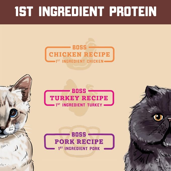 Boss Cat Freeze Dried Raw Diet (Cats), Turkey Recipe, 9 oz Bag