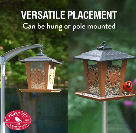Perky-Pet® Sun and Star Lantern Wild Bird Feeder – 3 lb Seed Capacity