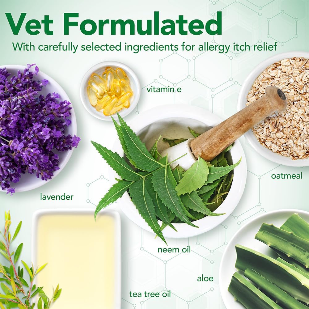 Vet's Best Allergy Itch Relief Dog Shampoo with Oatmeal, Aid Itching, 16 oz