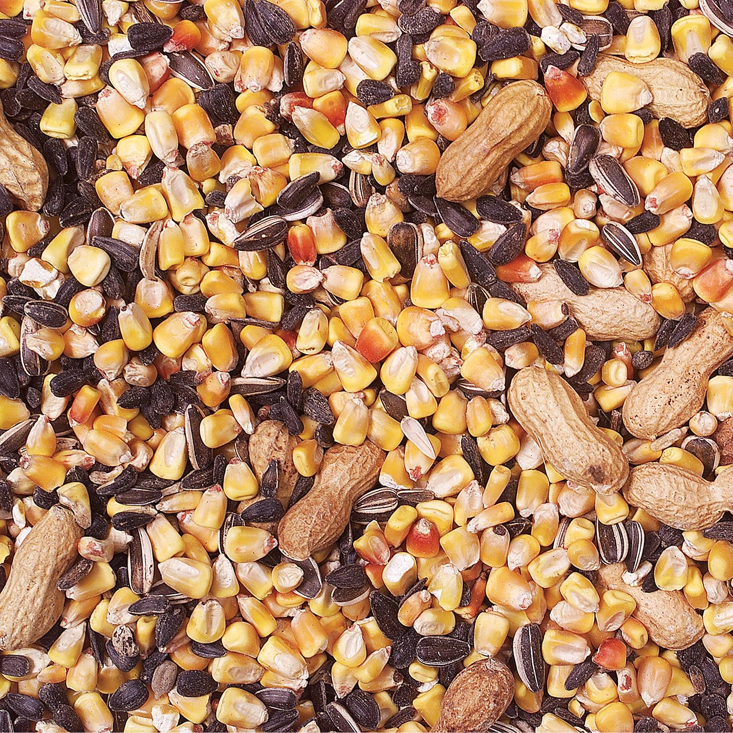 Wild Delight Crunch N’ Nut Squirrel Food – Corn, Sunflower Seeds & Whole Peanuts, Wildlife Feed