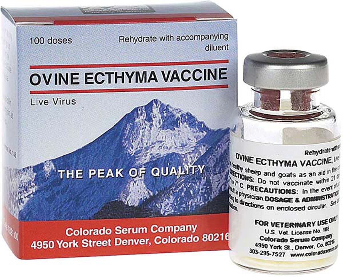 Ovine Ecthyma Vaccine – Soremouth (Orf) Vaccine for Sheep & Goats