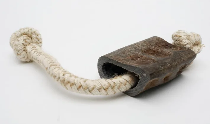 QT Dog Water Buffalo Horn Chew Toy, 12 Inch — image 2