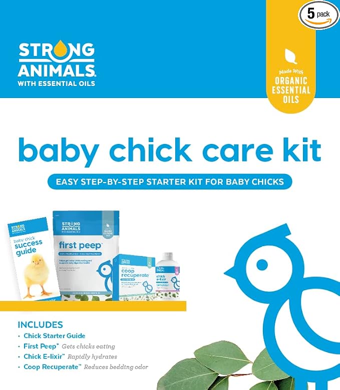 Baby Chick Care Kit
