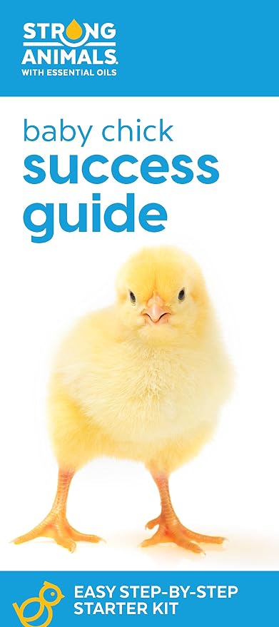 Baby Chick Care Kit