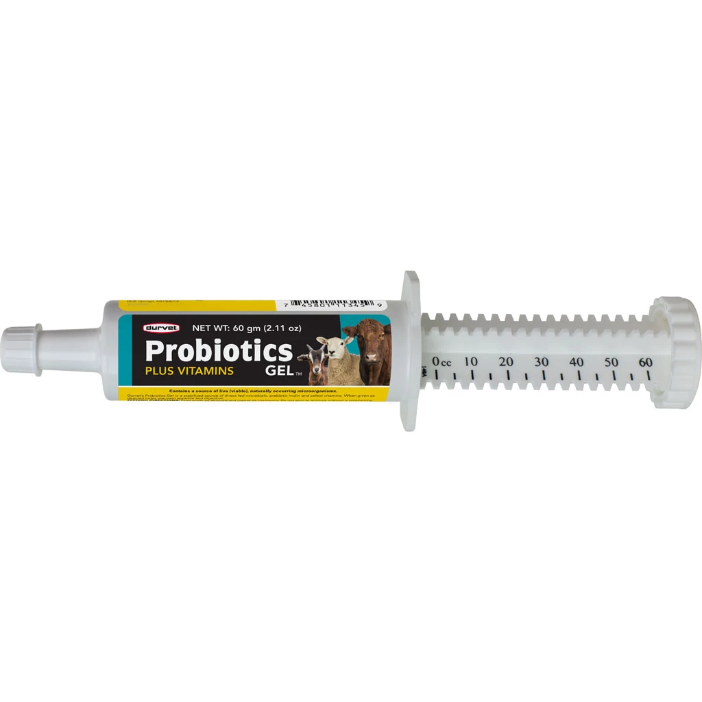 Probiotics Gel Plus Vitamins 60gm