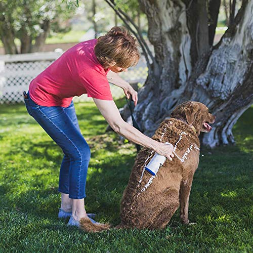 Vetericyn FoamCare Medicated Dog Shampoo – 16 oz