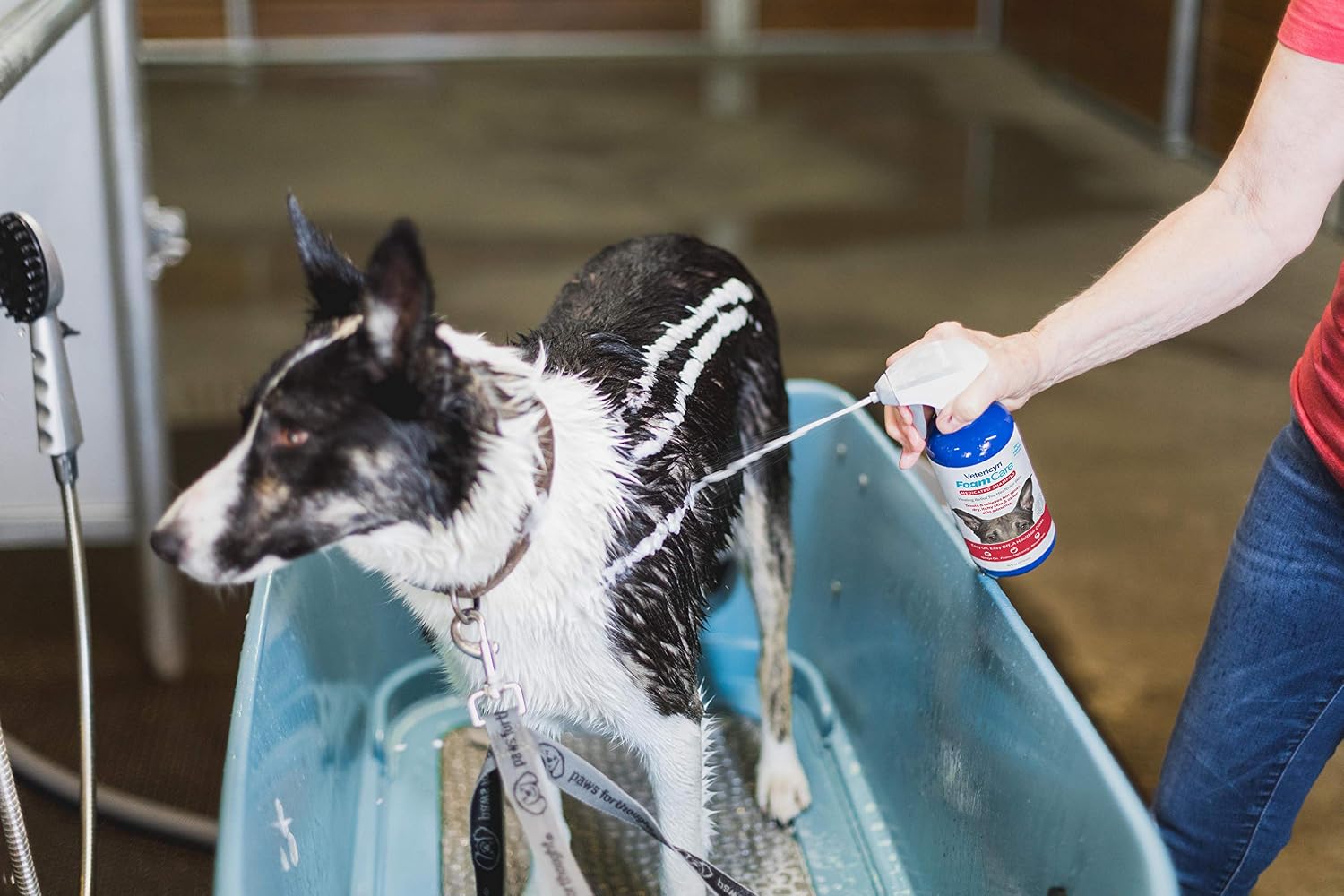 Vetericyn FoamCare Medicated Dog Shampoo – 16 oz