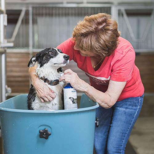Vetericyn FoamCare Medicated Dog Shampoo – 16 oz