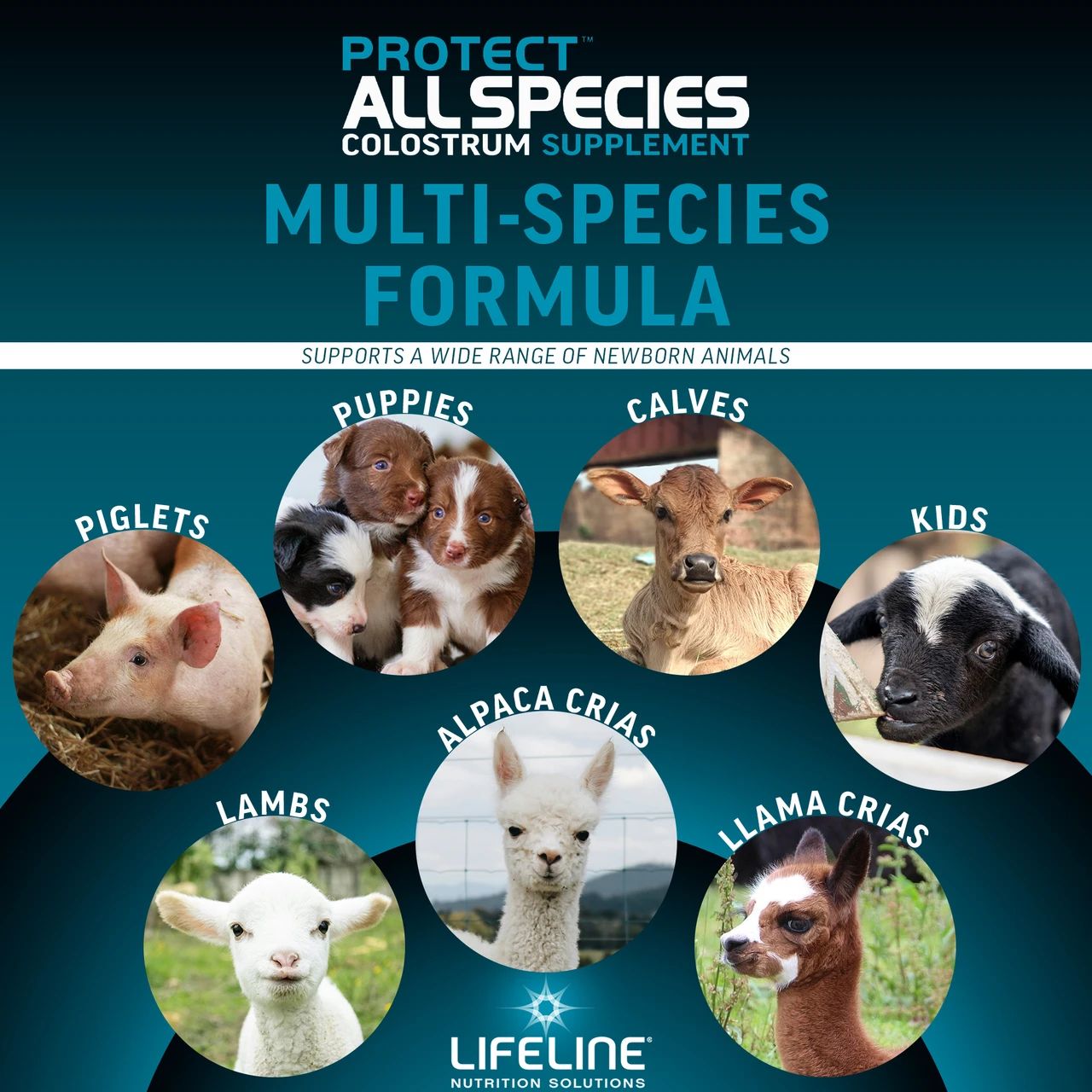 LIFELINE Protect All Species 50g Colostrum Supplement for Newborn Calves, Lambs, Kids, Puppies & Piglets – 1 lb