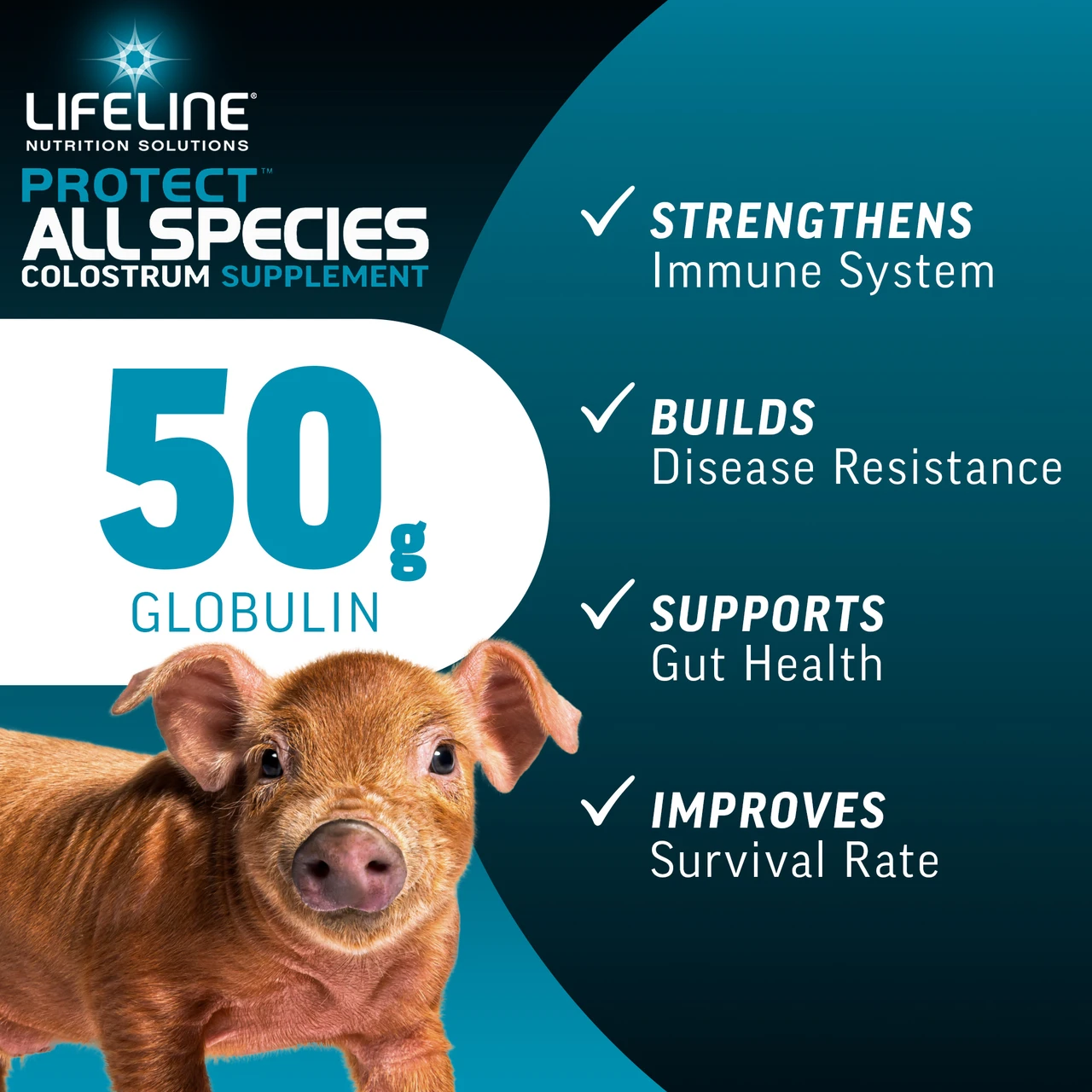 LIFELINE Protect All Species 50g Colostrum Supplement for Newborn Calves, Lambs, Kids, Puppies & Piglets – 1 lb