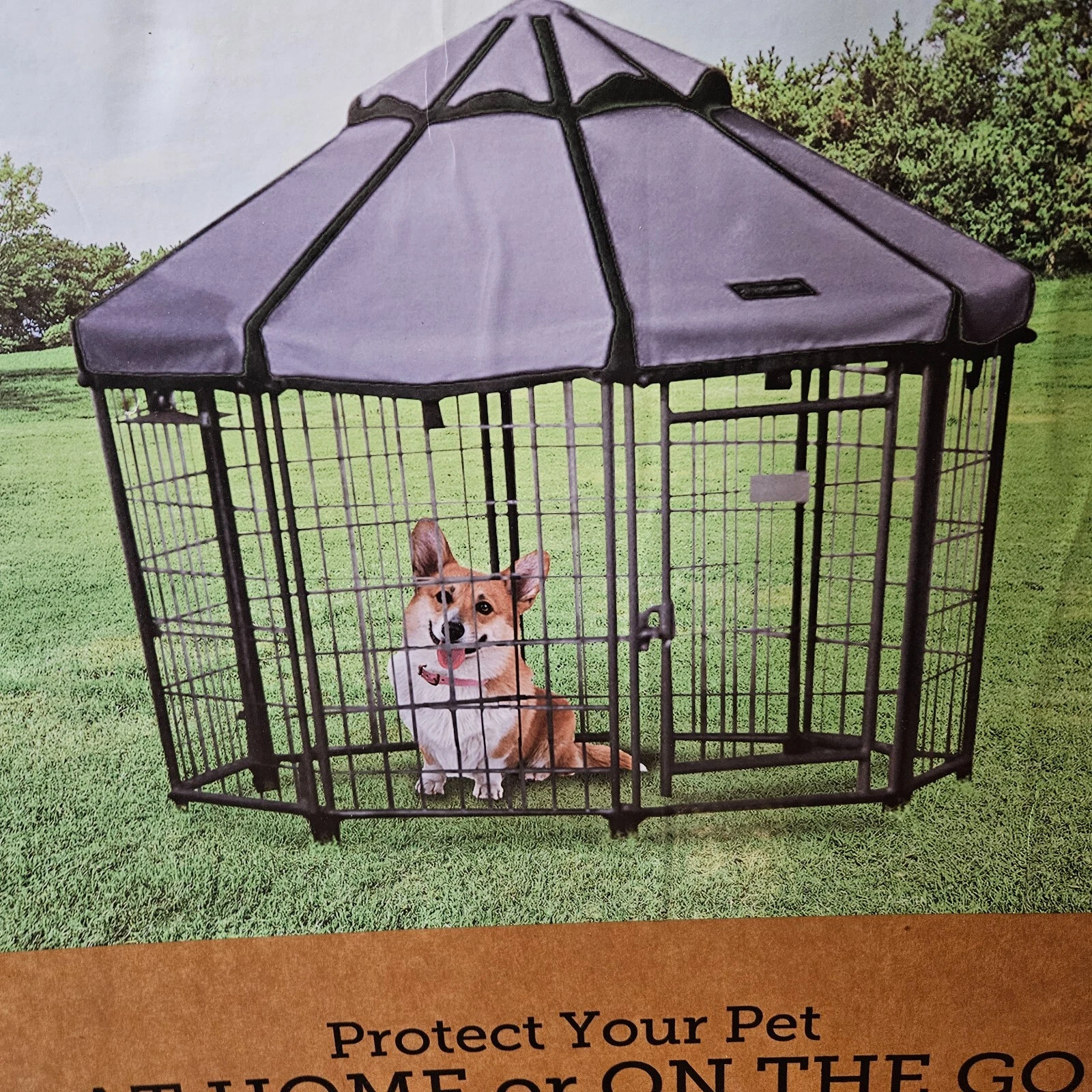 4' Pet Gazebo - Up to 100# Pet