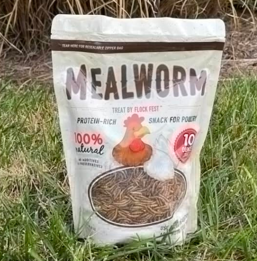 Dried Mealworms 10 oz – High-Protein Bird, Chicken & Wild Bird Food Treat