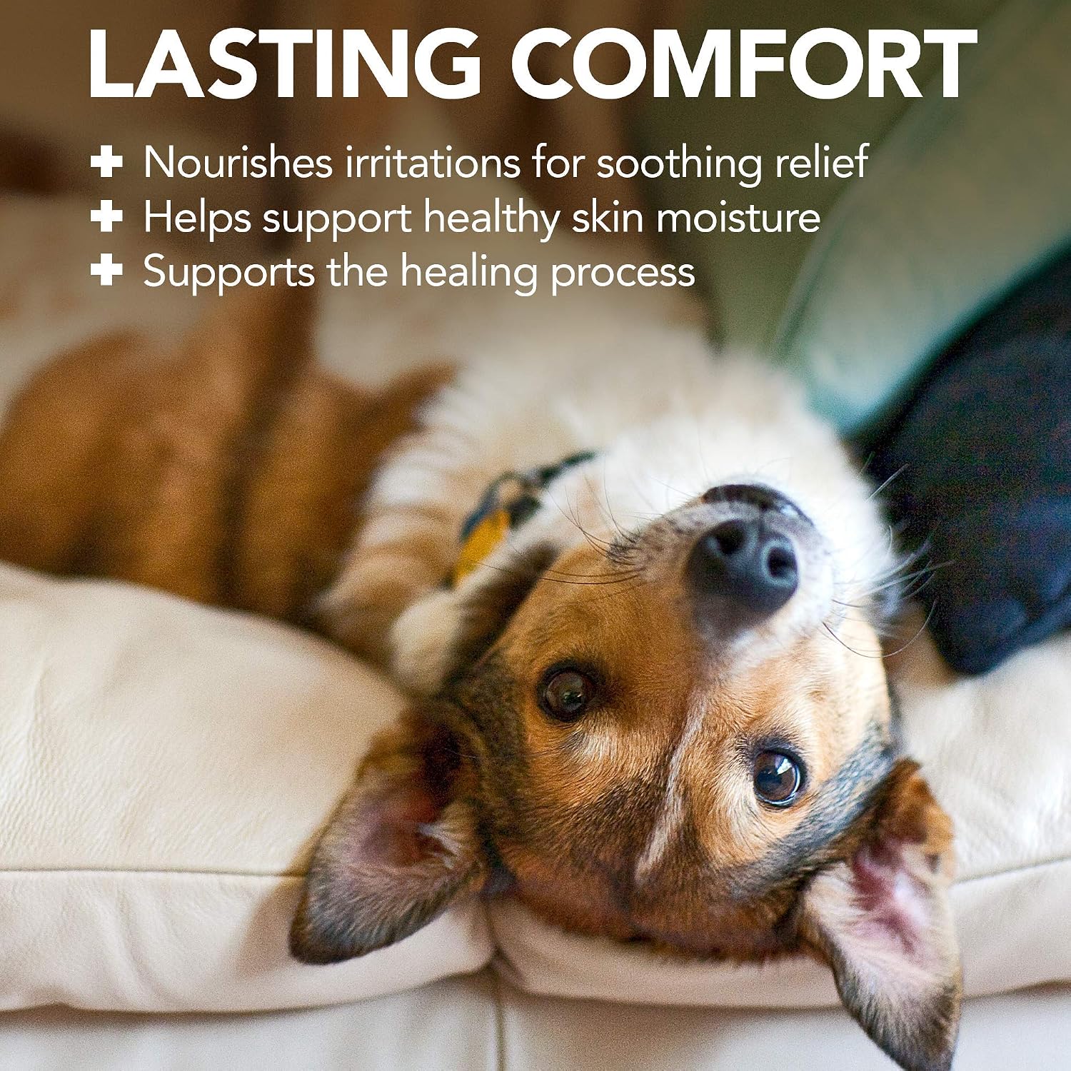 Vet’s Best Hot Spot Foam for Dogs, 4 oz