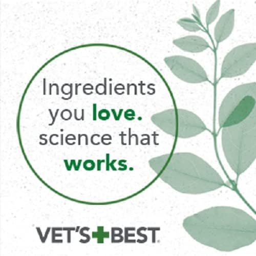 Vet’s Best Hot Spot Foam for Dogs, 4 oz