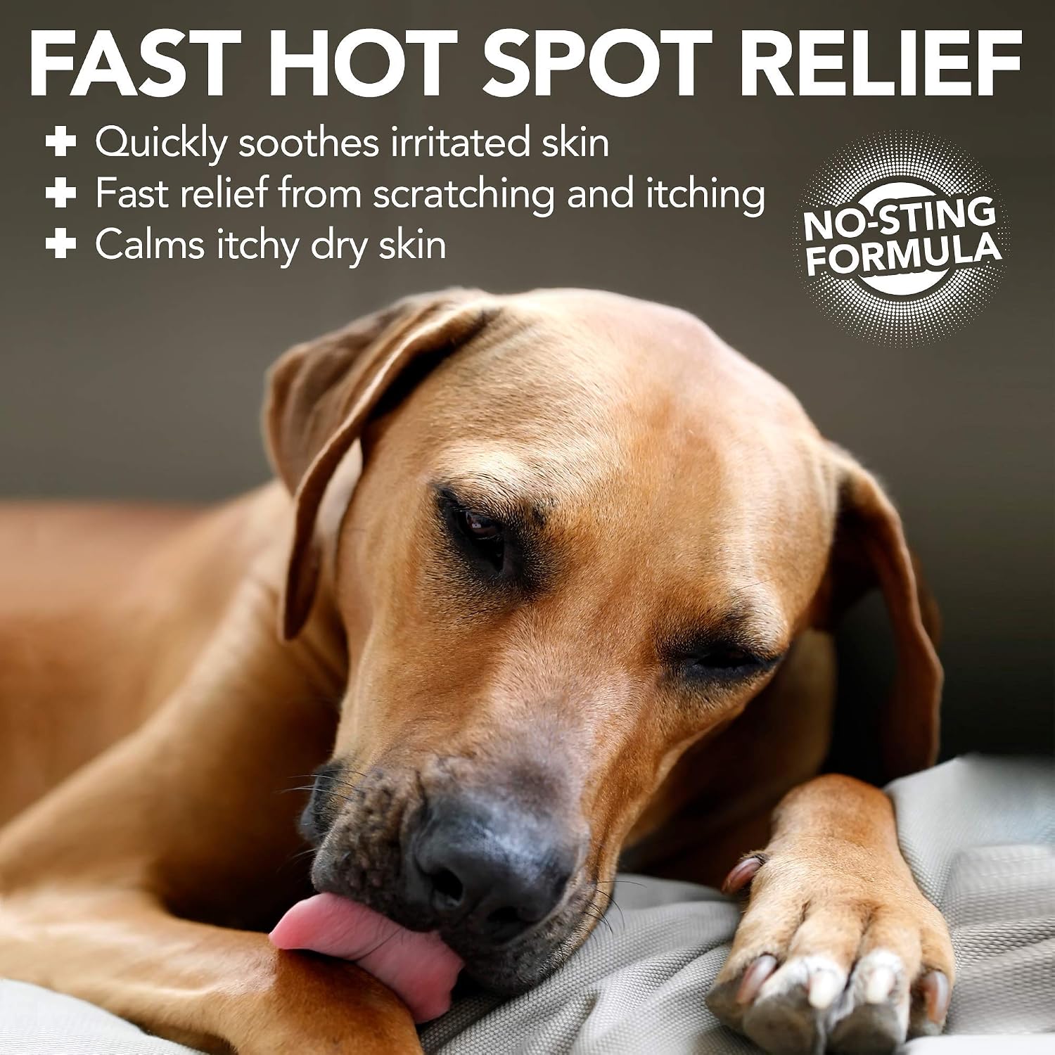 Vet’s Best Hot Spot Foam for Dogs, 4 oz