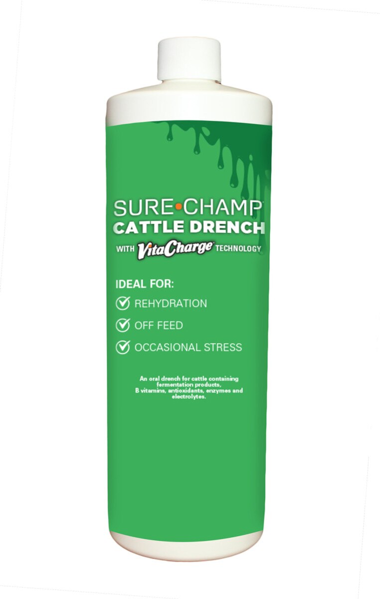 Vita Charge Cattle Drench 32oz