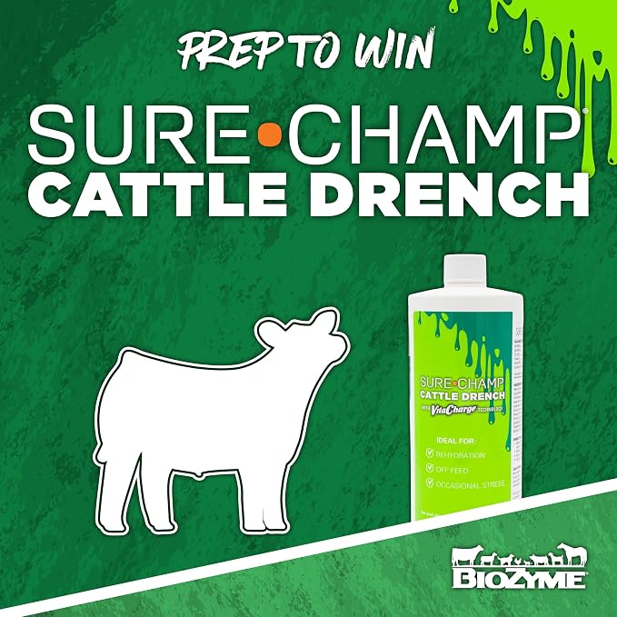 Vita Charge Cattle Drench 32oz
