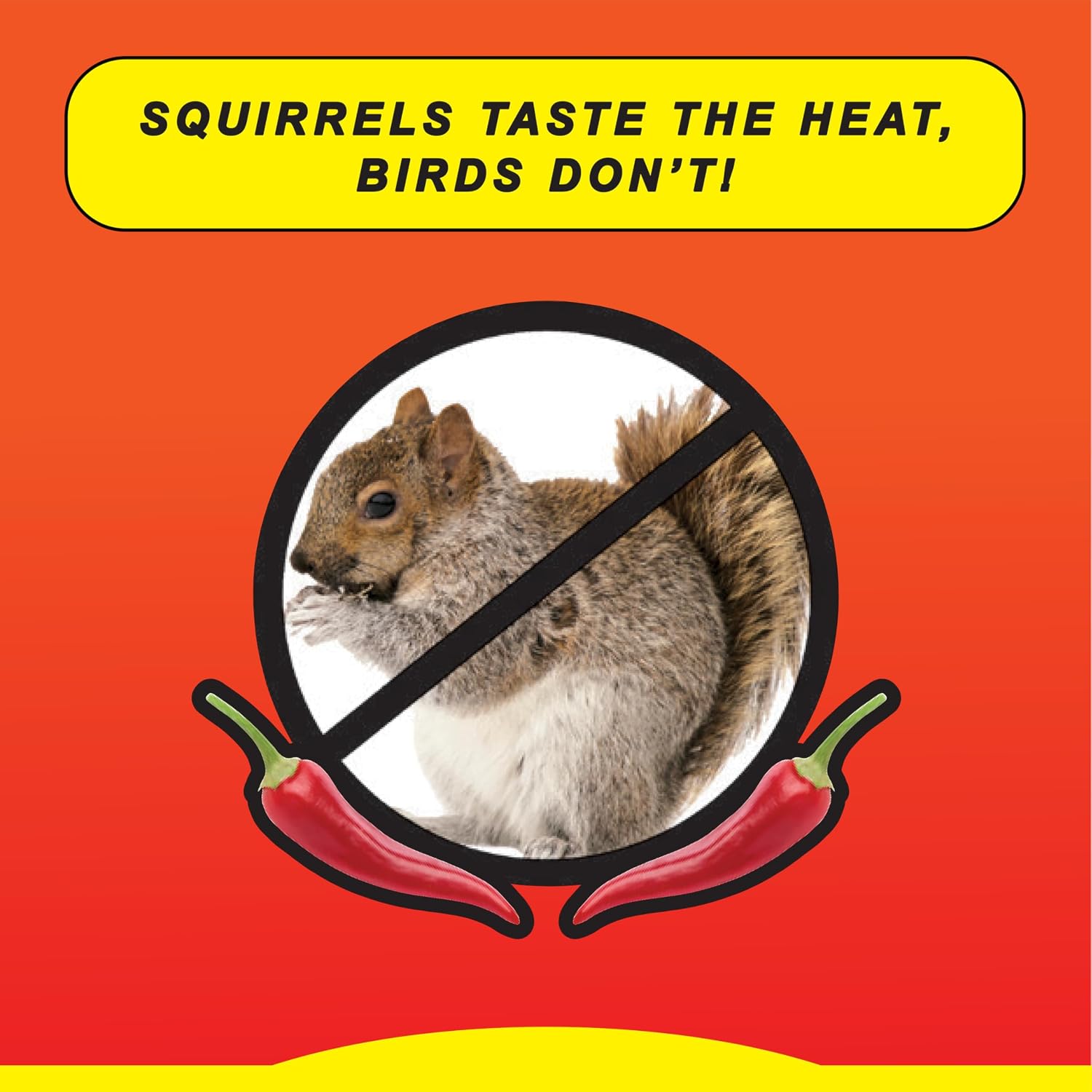 Wild Delight Sizzle N’ Heat Spicy Wild Bird Food – Hot Pepper Squirrel Deterrent Seed & Nut Blend