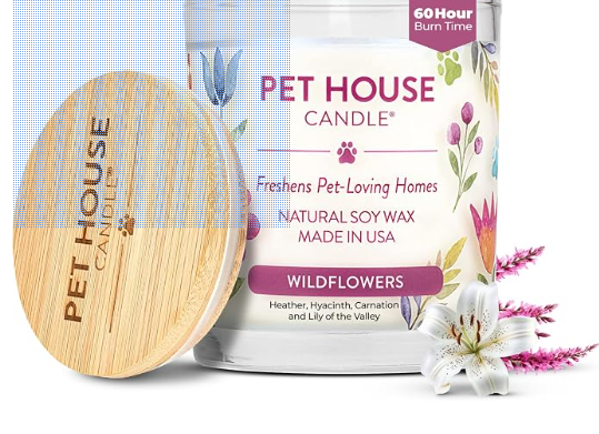One Fur All® Pet House Natural Soy Wax Candle – Wildflower