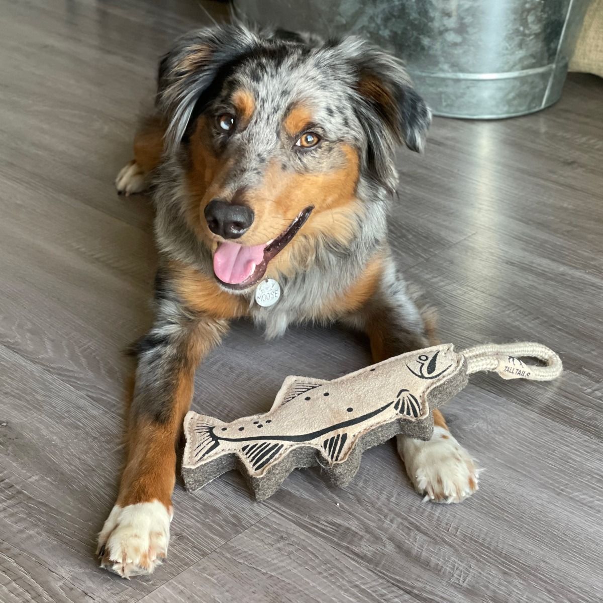 Tall Tails Natural Leather & Wool Trout Tug Dog Toy – 16 Inch