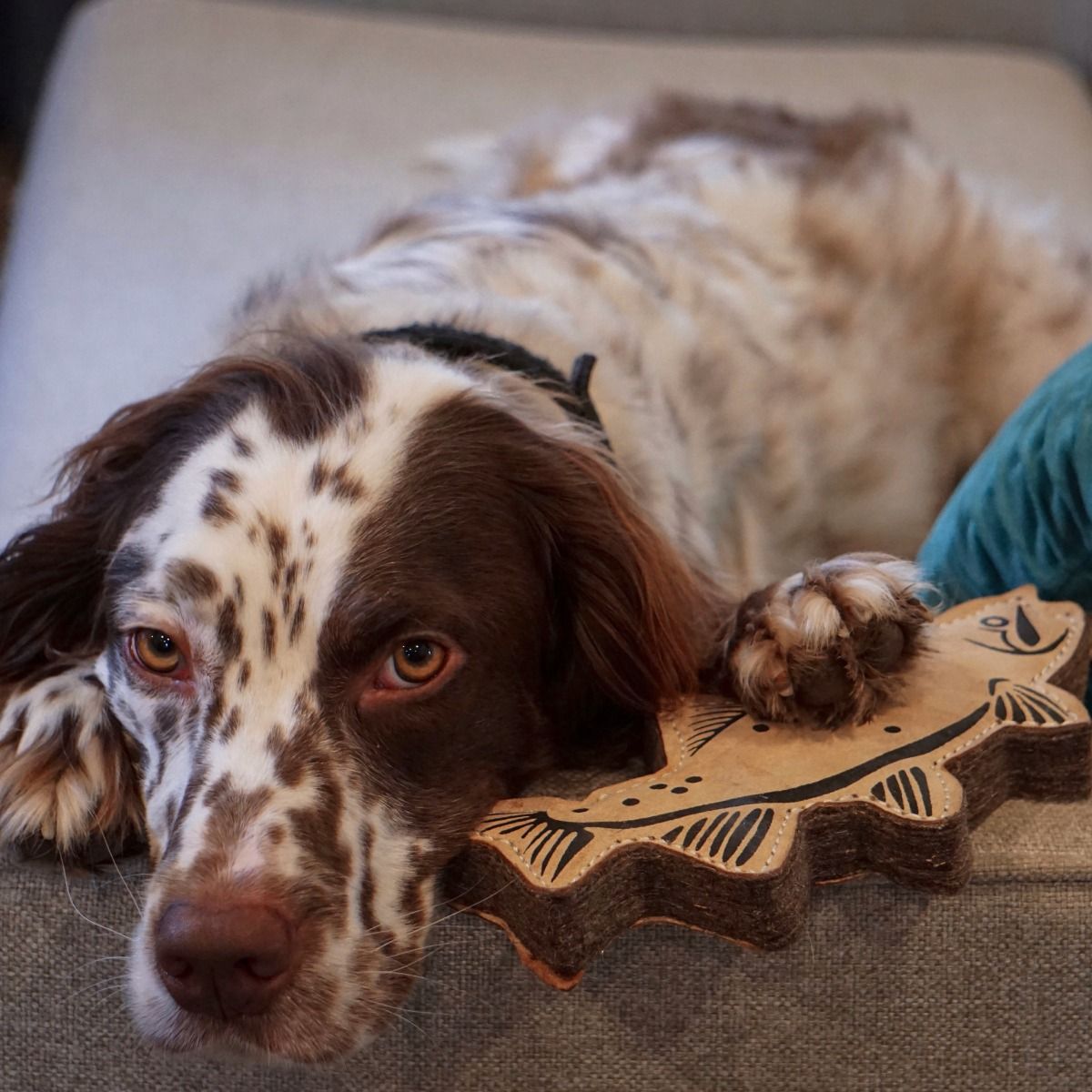 Tall Tails Natural Leather & Wool Trout Tug Dog Toy – 16 Inch