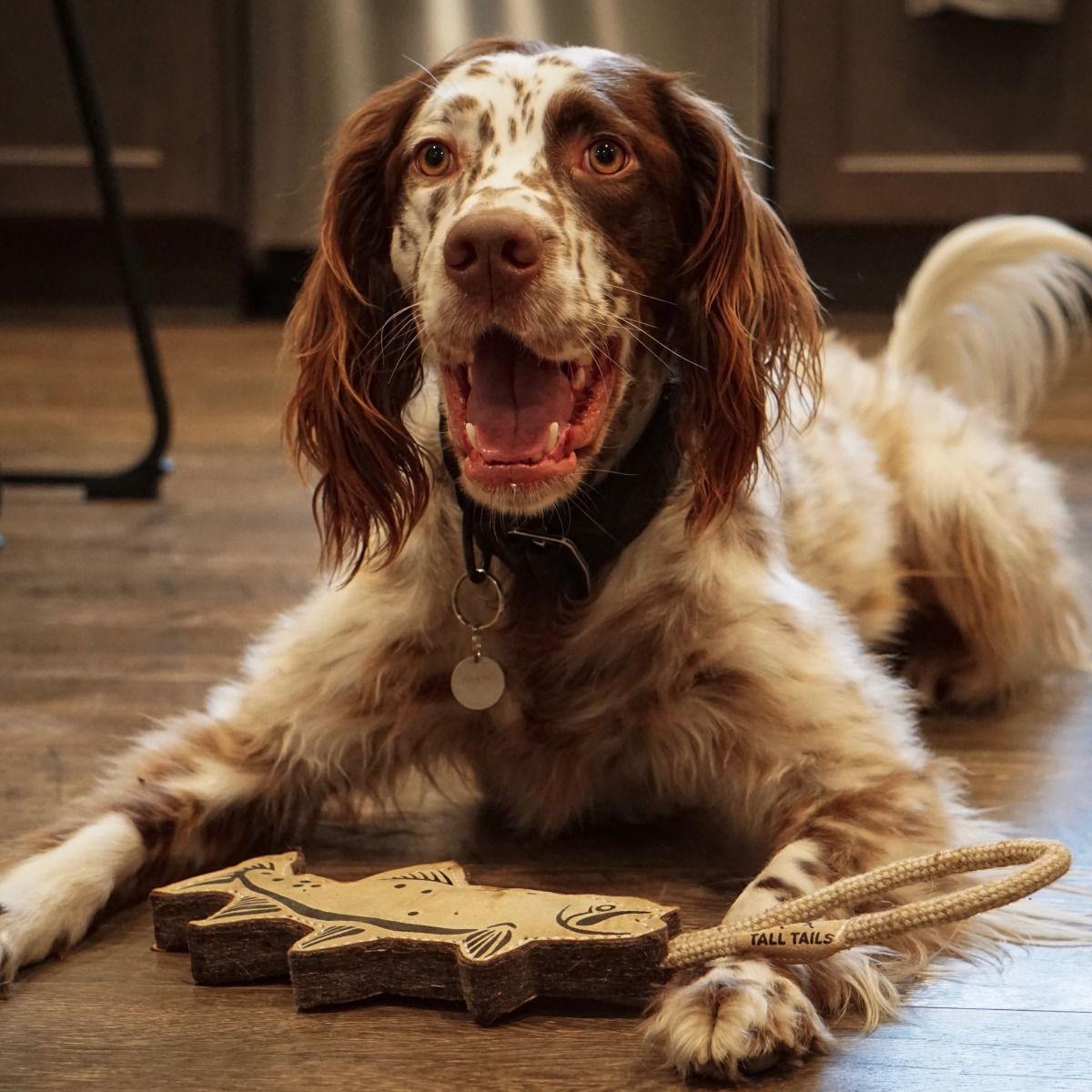 Tall Tails Natural Leather & Wool Trout Tug Dog Toy – 16 Inch