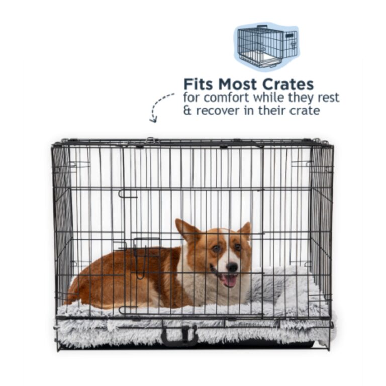 Tall Tails Cuddle Crate Dog & Cat Bed – Grey, Large 30 x 19 Inch