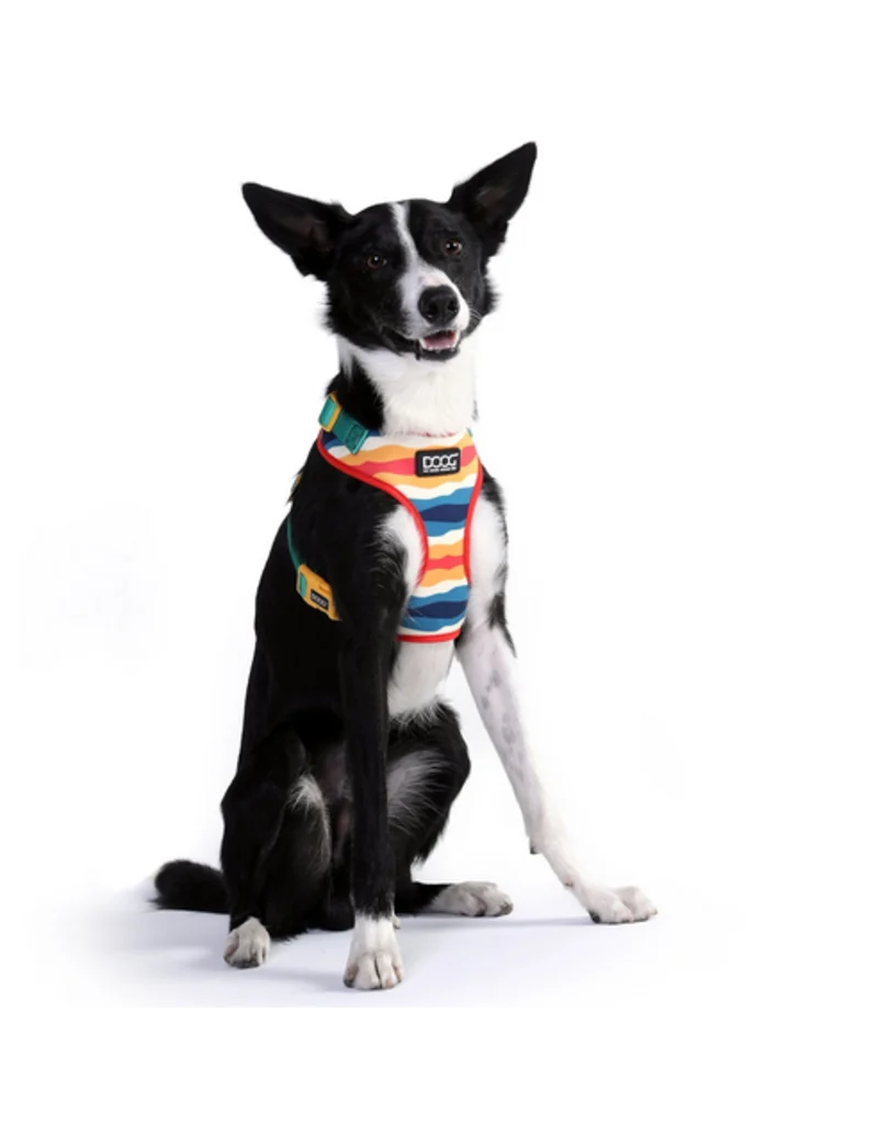 DOOG Neoflex SCOUT Dog Harness – Small, Lightweight & Water-Friendly