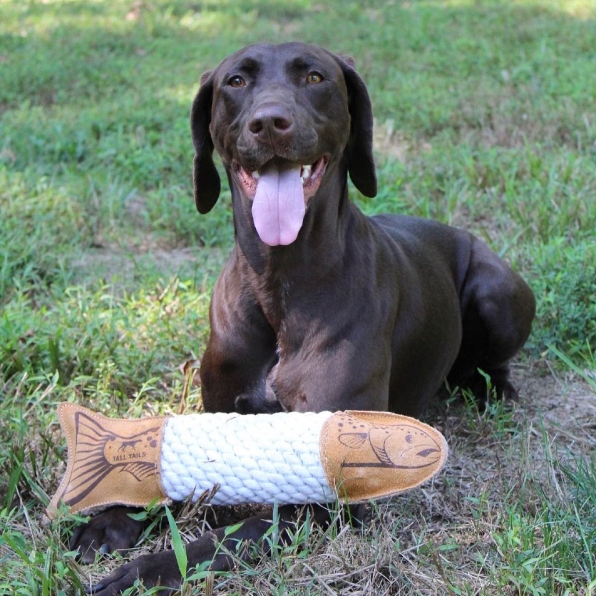 Tall Tails Natural Leather & Rope Trout Tug Dog Toy – 15 Inch