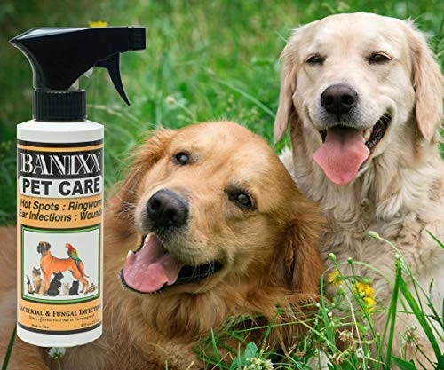 BANIXX Horse and Pet Care Spray for Horses, Dogs and Cats, Daily Skin and Coat Care Spray, Alcohol-Free, Non-Staining, No Odor, Made in USA, Grooming and Hoof Care Formula, 8 oz