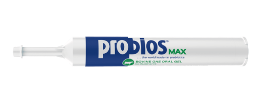 Probios Bovine One Oral Gel MAX – Probiotic Digestive Support for Cattle, Sheep & Goats, 60 cc — image 1