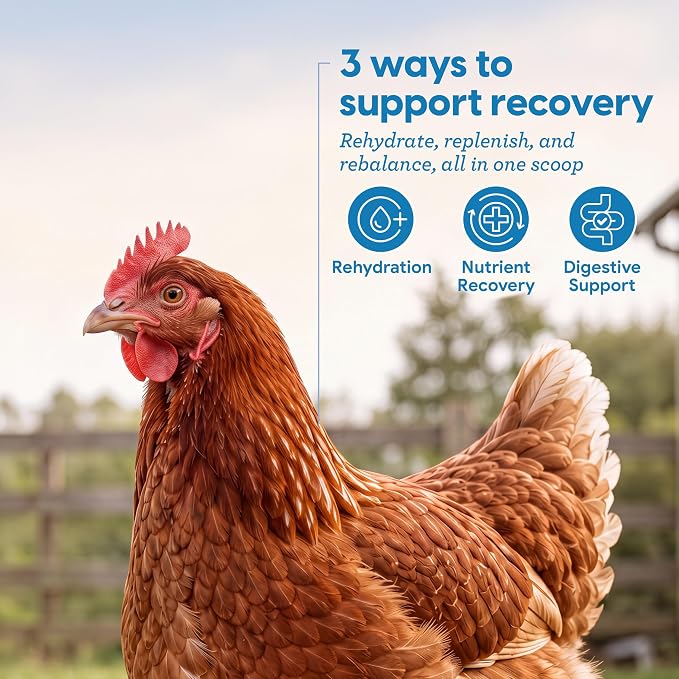 Strong Animals Flock Fixer Poultry Supplement – 5.5 oz Electrolyte, Prebiotic & Probiotic Water Additive for Chickens