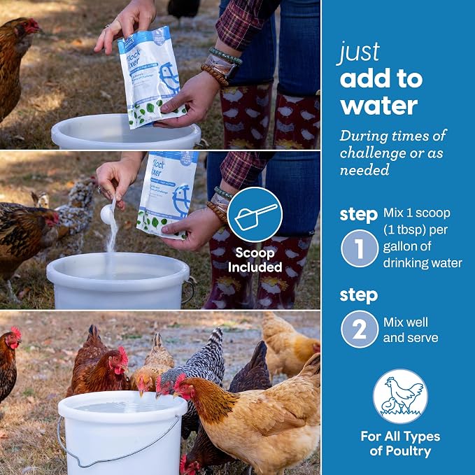Strong Animals Flock Fixer Poultry Supplement – 5.5 oz Electrolyte, Prebiotic & Probiotic Water Additive for Chickens