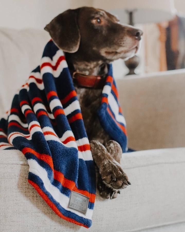 Tall Tails Nautical Stripe Baby-Soft Fleece Dog Blanket – Navy, 30 x 40 Inch