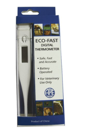 5 Inch ECO-FAST Digital Thermometer