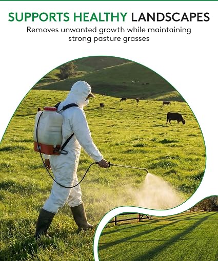 ALLIGARE MSM 60 DF - Selective Broadleaf Brush and Weed Killer for Pastures, Rangelands, Forestry, Roadsides & Industrial Sites - Low Use Rates, Tank-Mix Compatible - 16 oz