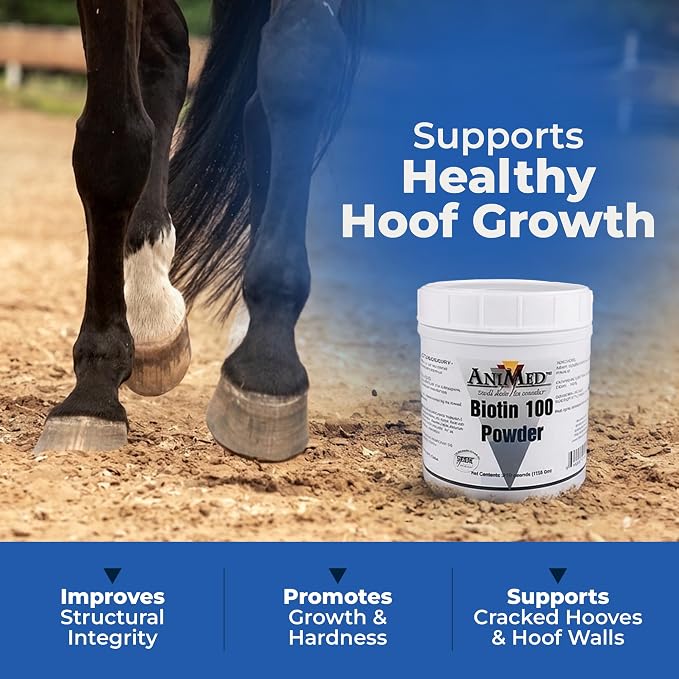 AniMed Biotin 100 Daily Horse Hoof Supplement & Equine Hair Growth Powder 5 lbs