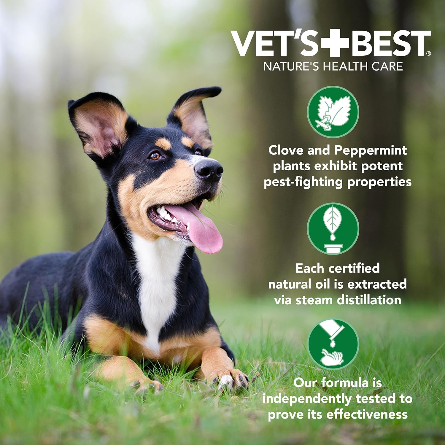Vet’s Best Flea & Tick Spot-On Drops for Small Dogs Under 15 lb – Plant-Based Topical Treatment, 4 Month Supply