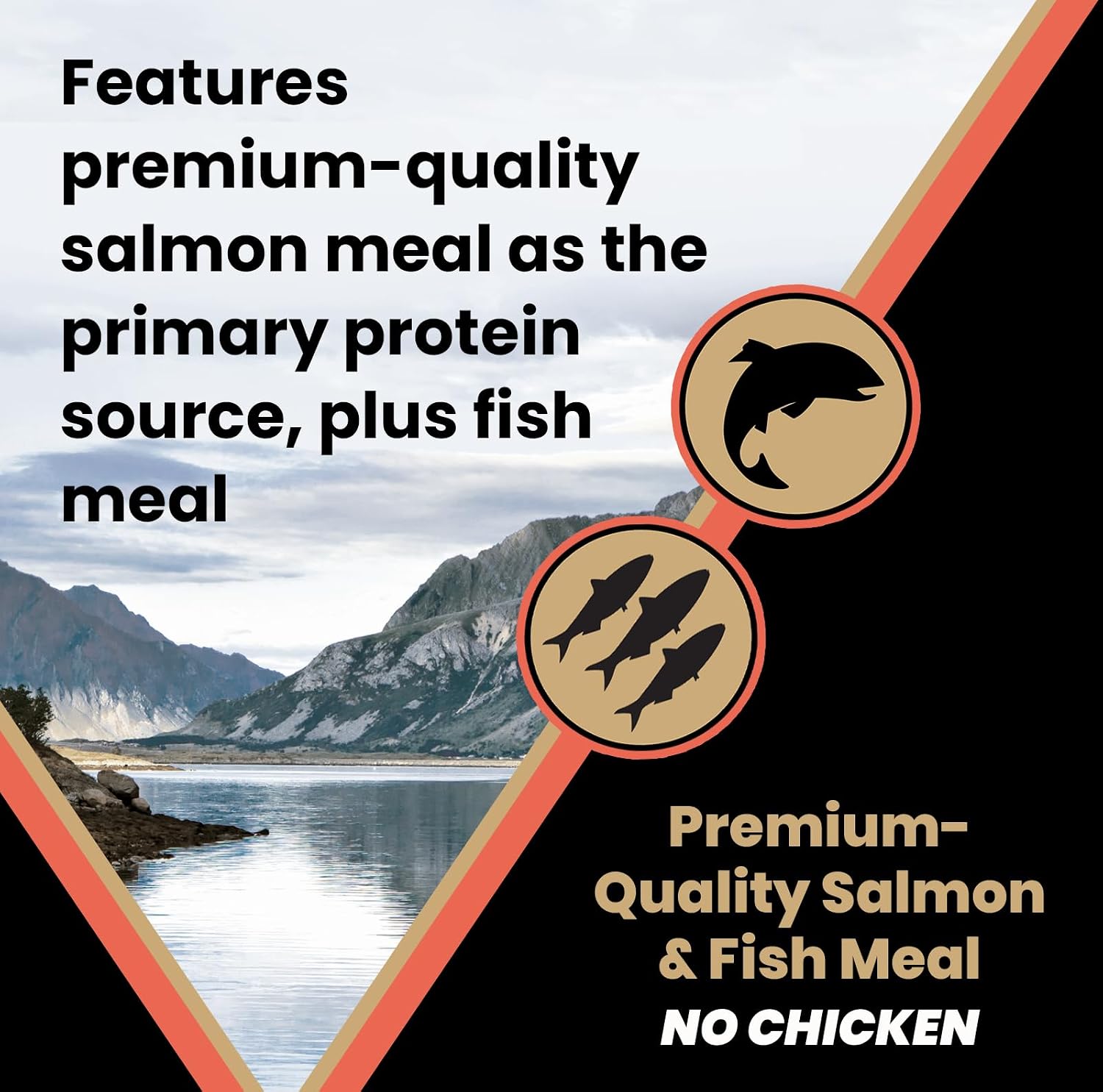 VICTOR Sensitive Skin & Stomach Salmon Meal & Brown Rice Dog Food — image 5