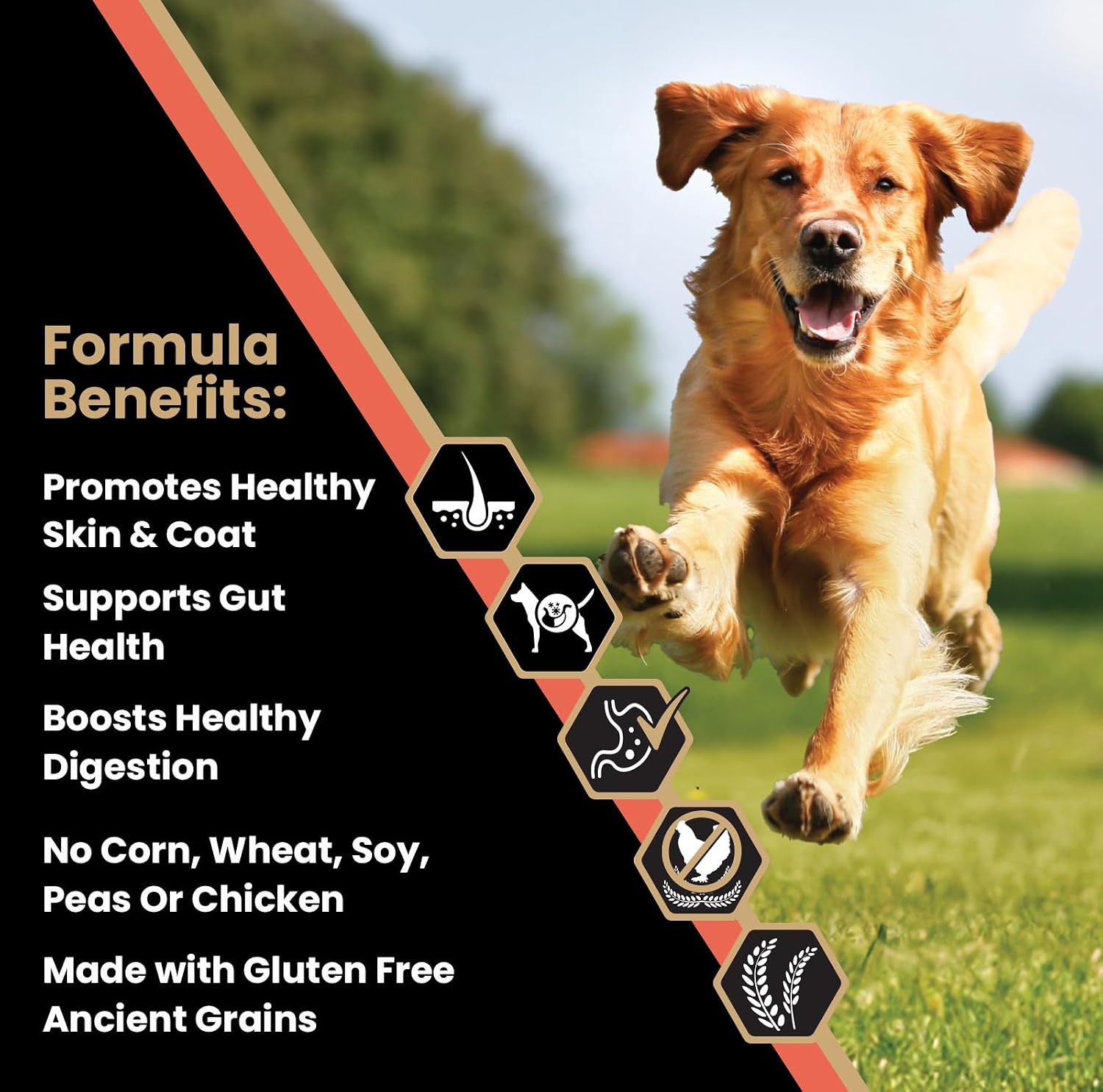 VICTOR Sensitive Skin & Stomach Salmon Meal & Brown Rice Dog Food — image 2